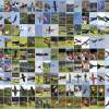 Böblinger Modellflugtage 28.09.2014