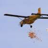 Böblinger Modellflugtage 28.09.2014