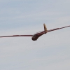 Böblinger Modellflugtage 28.09.2014