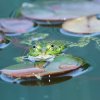 Botanischer Garten Tübingen