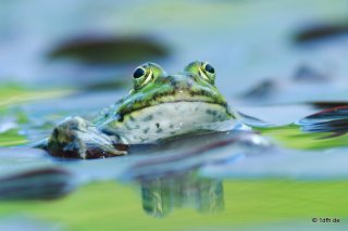 Botanischer Garten Tübingen