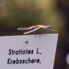 Botanischer Garten Tübingen