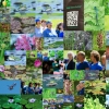 Botanischer Garten Tübingen