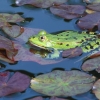 Botanischer Garten Tübingen