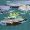 Botanischer Garten Tübingen