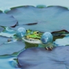 Botanischer Garten Tübingen