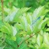 Botanischer Garten Tübingen