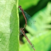 Botanischer Garten Tübingen
