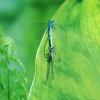 Botanischer Garten Tübingen