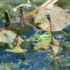 Botanischer Garten Tübingen