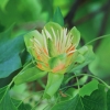 Botanischer Garten Tübingen