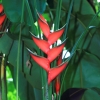 Botanischer Garten Tübingen