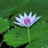 Botanischer Garten Tübingen