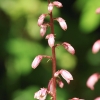 Botanischer Garten Tübingen