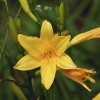 Botanischer Garten Tübingen