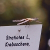 Botanischer Garten Tübingen