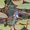 Botanischer Garten Tübingen