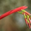 Botanischer Garten Tübingen 02.03.2014