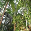 Botanischer Garten Tübingen 02.03.2014