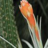 Botanischer Garten Tübingen 02.03.2014