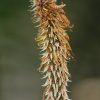 Botanischer Garten Tübingen 02.03.2014