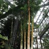 Botanischer Garten Tübingen 02.03.2014
