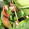 Botanischer Garten Tübingen 02.03.2014