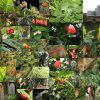 Botanischer Garten Tübingen 02.03.2014