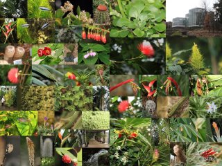 Botanischer Garten Tübingen 02.03.2014