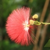 Botanischer Garten Tübingen 02.03.2014