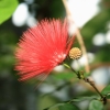 Botanischer Garten Tübingen 02.03.2014