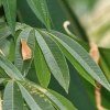 Botanischer Garten Tübingen 02.03.2014