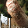 Botanischer Garten Tübingen 02.03.2014