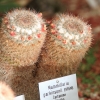 Botanischer Garten Tübingen 02.03.2014