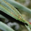 Botanischer Garten Tübingen 02.03.2014