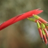 Botanischer Garten Tübingen 02.03.2014