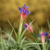 Botanischer Garten Tübingen 02.03.2014