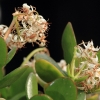 Botanischer Garten Tübingen 02.03.2014