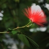 Botanischer Garten Tübingen 02.03.2014