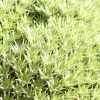 Botanischer Garten Tübingen 02.03.2014