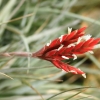 Botanischer Garten Tübingen 02.03.2014