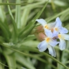 Botanischer Garten Tübingen 02.03.2014