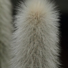 Botanischer Garten Tübingen 02.03.2014