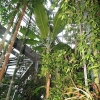 Botanischer Garten Tübingen 02.03.2014