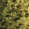Botanischer Garten Tübingen 02.03.2014