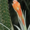 Botanischer Garten Tübingen 02.03.2014