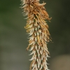 Botanischer Garten Tübingen 02.03.2014