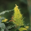 Botanischer Garten Tübingen 02.03.2014