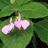 Botanischer Garten Tübingen 02.03.2014