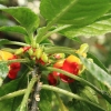 Botanischer Garten Tübingen 02.03.2014